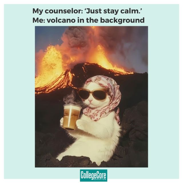 Surviving finals, waiting for your ED acceptance letter, and still trying to stay calm through the chaos. We understand! 😅🌊📚

#studyabroad #studentlife #collegeapp #edacceptances #finalsstress #wegotyou #meme #freefirememe #memes #studying #college #cat #catmemes #ed #study